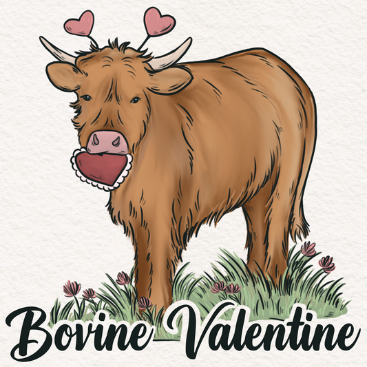 Bovine Valentine